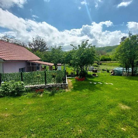 Village Flower Ivy Montenegro Нікшич Екстер'єр фото