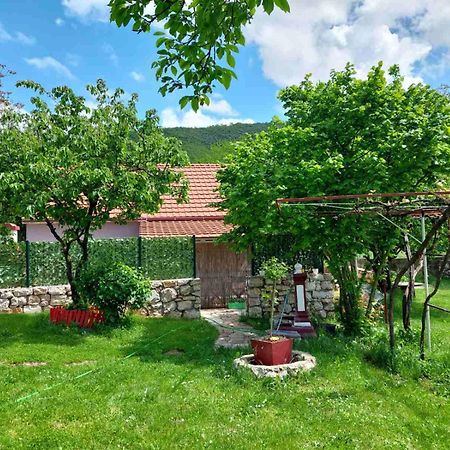 Village Flower Ivy Montenegro Нікшич Екстер'єр фото