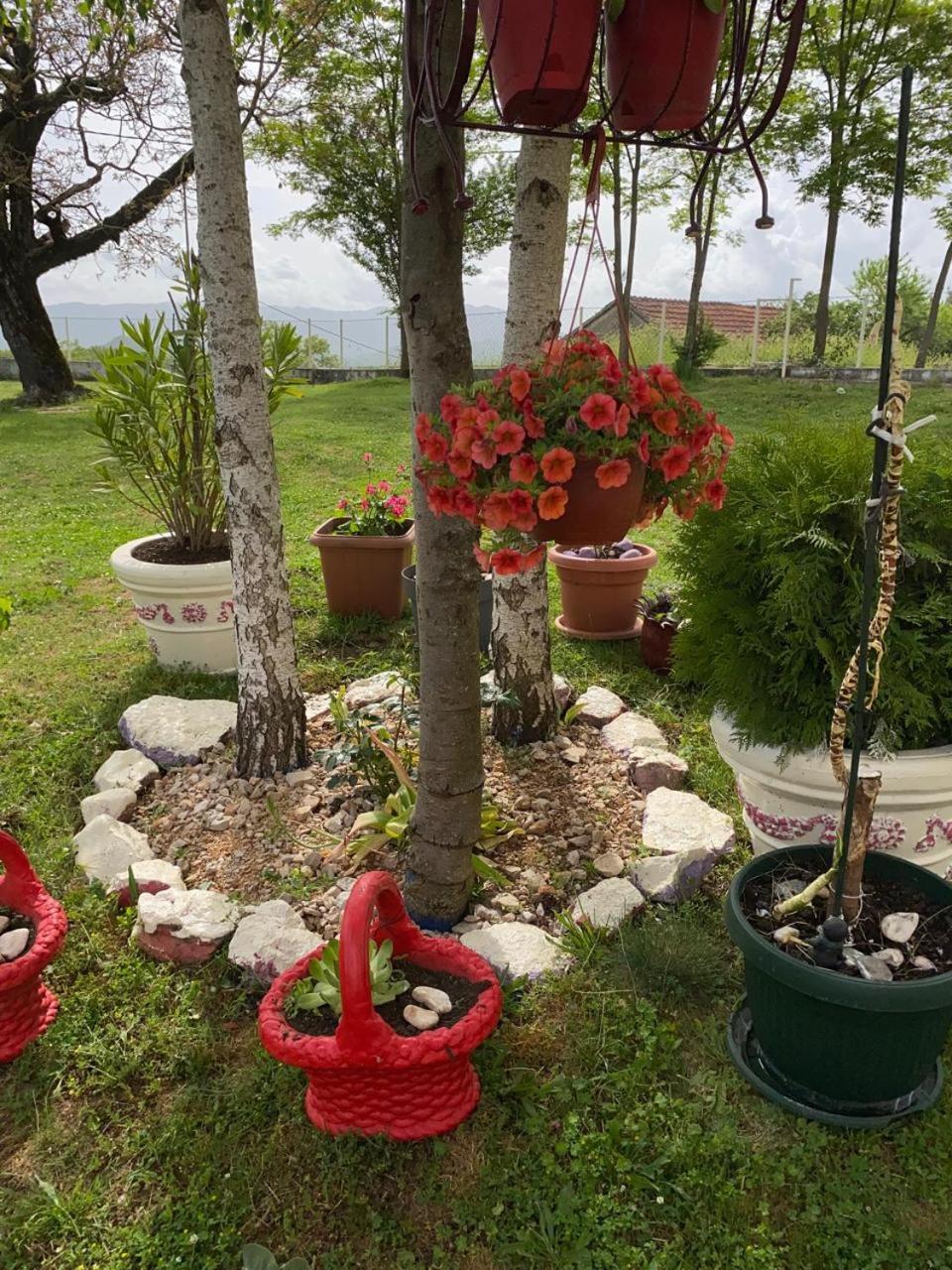 Village Flower Ivy Montenegro Нікшич Екстер'єр фото